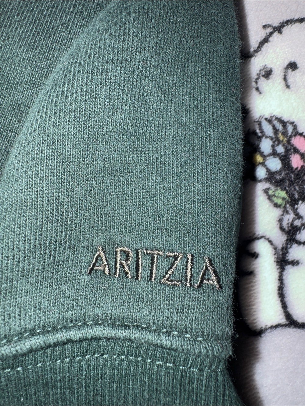Aritzia Dark Green Hoodie - Picture 2 of 5